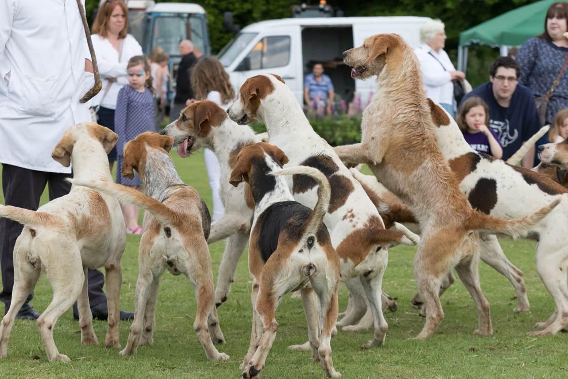 Bish Bash Country Fayre - 2016